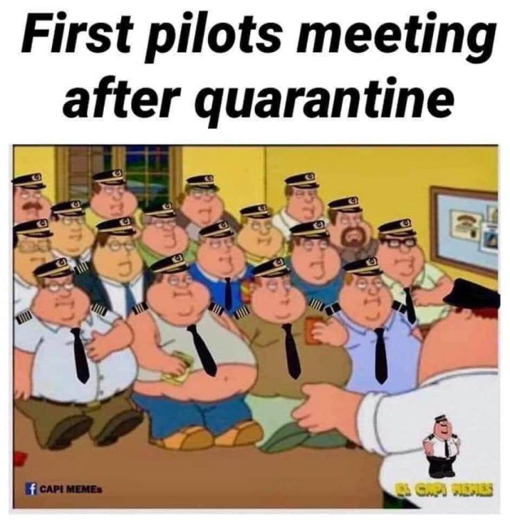 Pilots.jpg