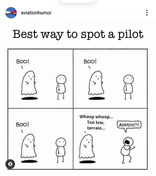 Spot a pilot.jpg